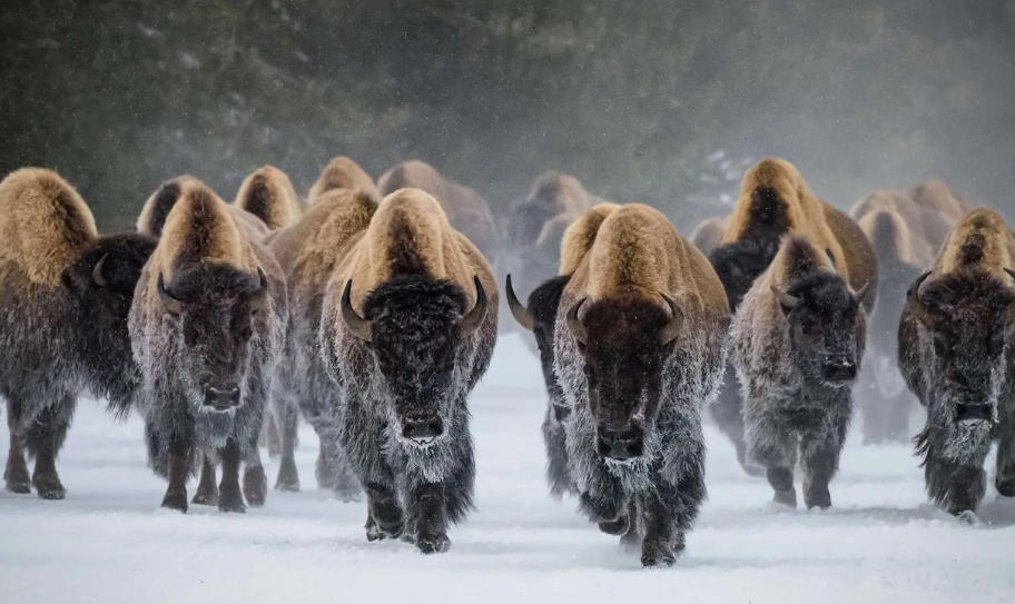 北京凯信标识科技有限公司轮播图4